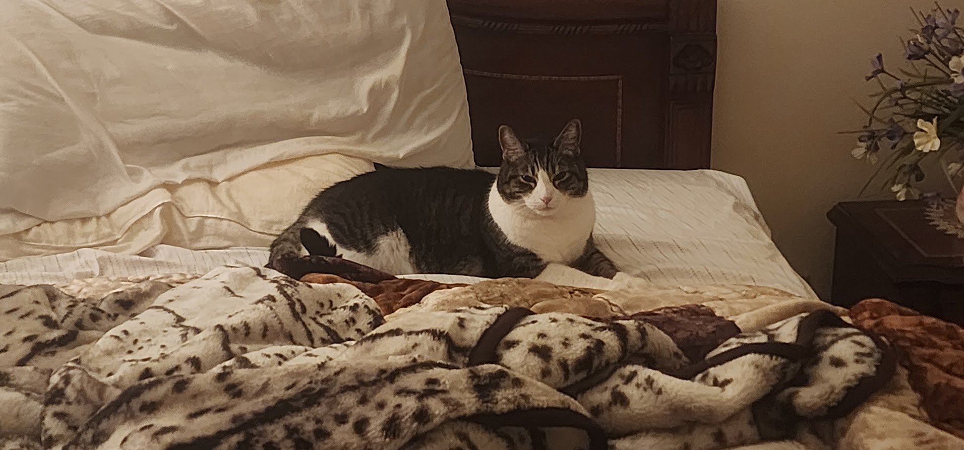 Chip in a cozy moment