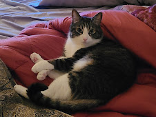 Chip's contemplative moment