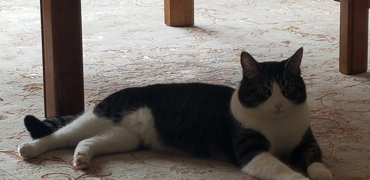 Chip showing his personality